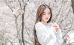 国产又色又爽又黄又免费的小说